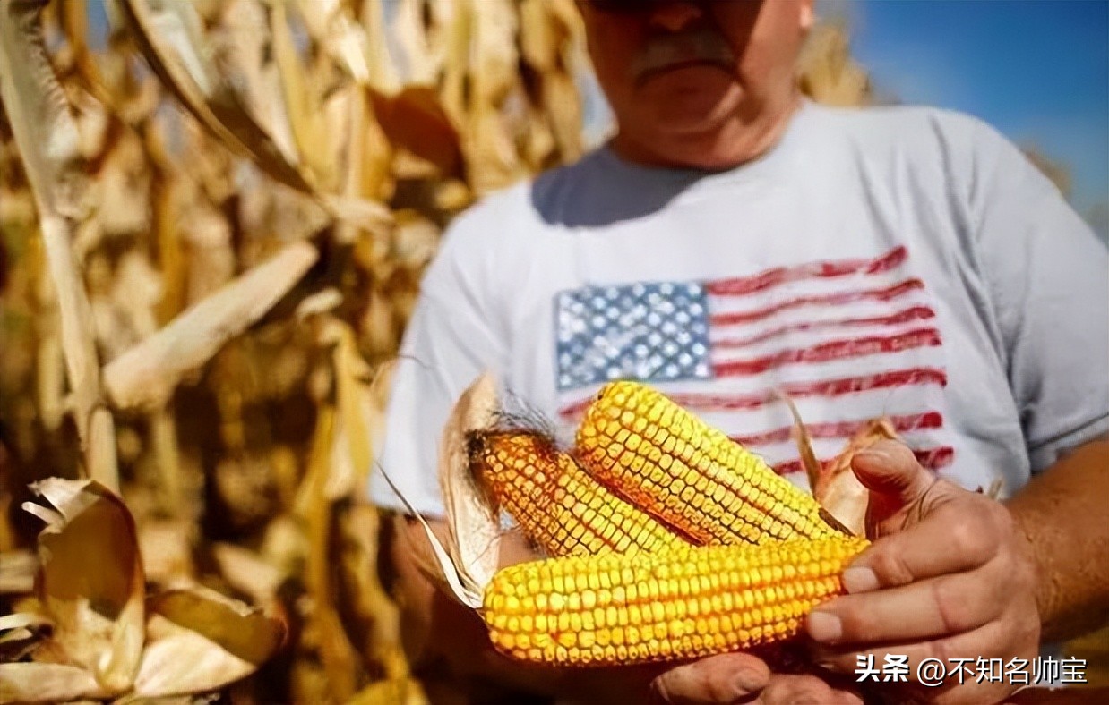 俄开发海参崴对俄国影响,俄罗斯为何开放海参崴出口