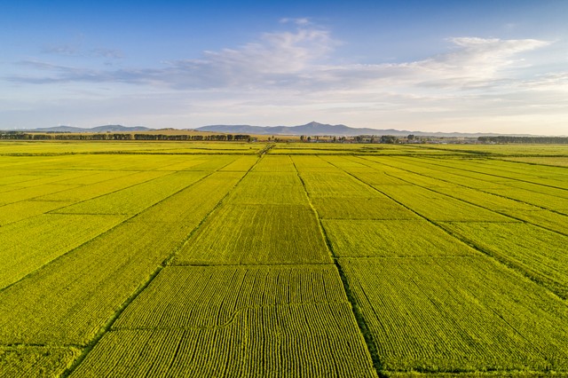 我的家乡河南省南阳市,我的家乡河南南阳淅川视频