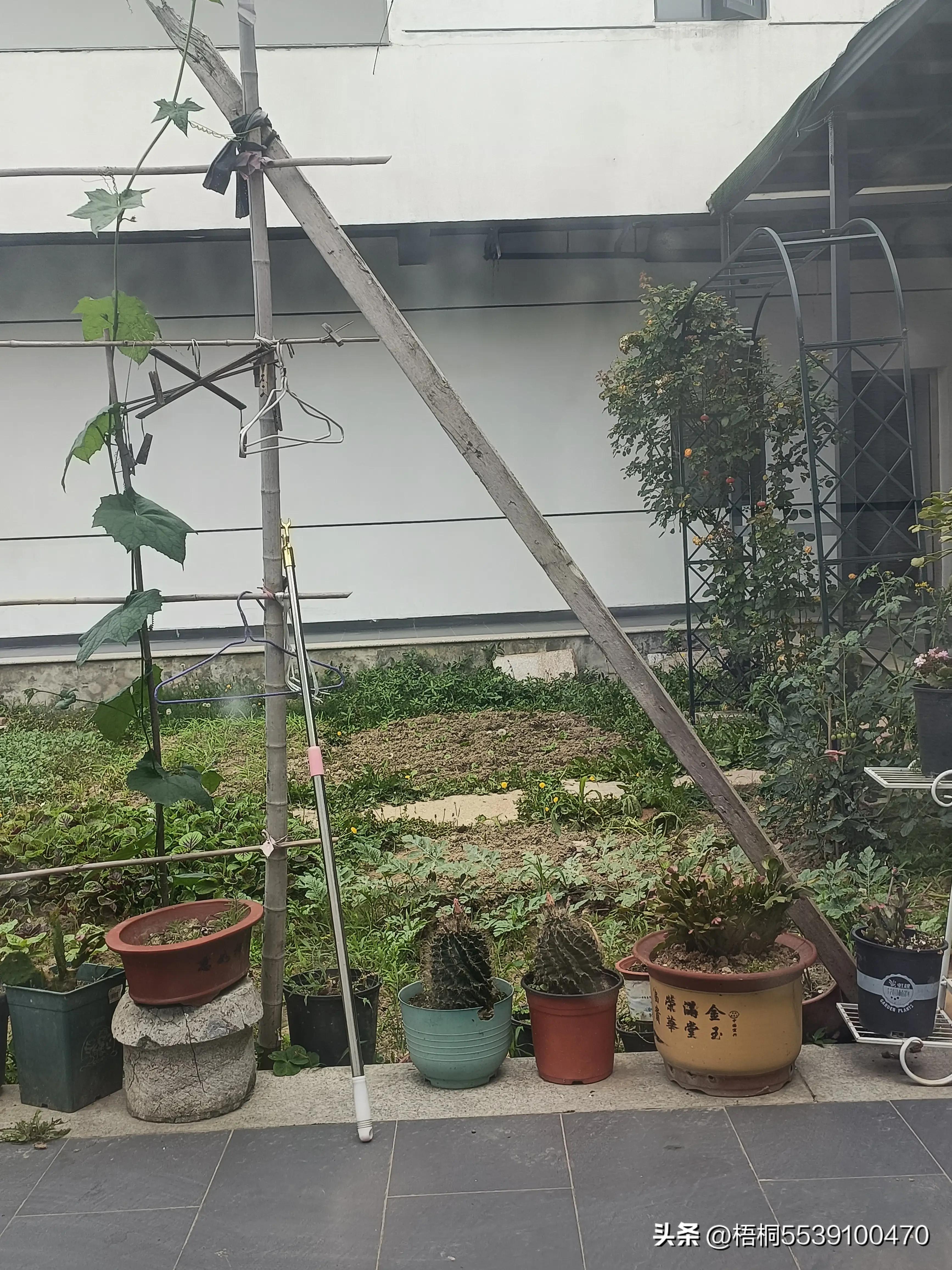 苏州洞庭西山有什么好玩的,苏州太湖东山还是西山好玩