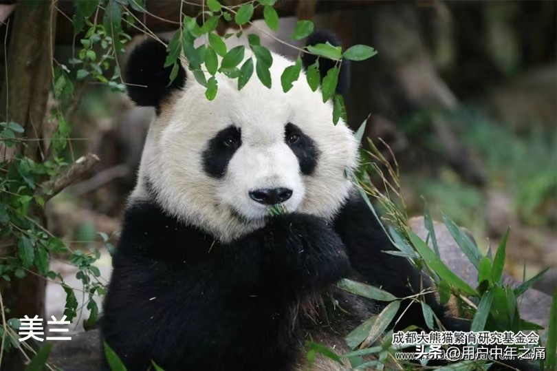 天之骄女是哪一年的,天之骄女重生归来小说