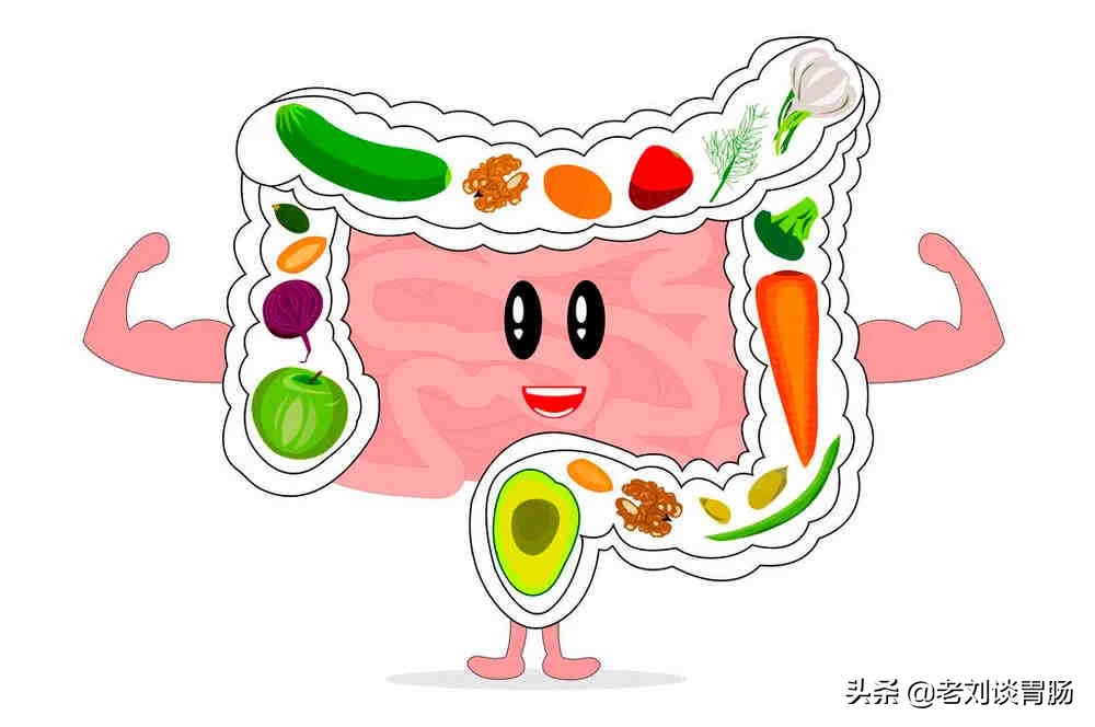 如何才能快速恢复肠道菌群的正常,怎么调节肠道菌群失调