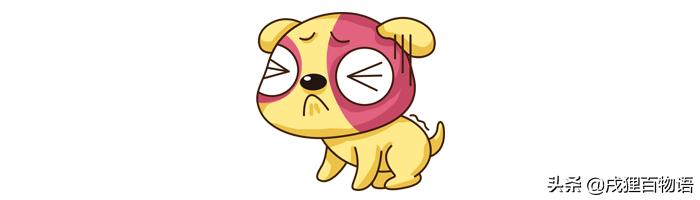 狗狗在沙发上乱尿怎么办啊,狗狗在沙发上拉尿怎么办