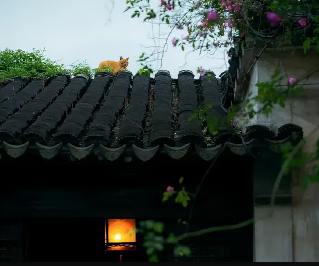 苏州最牛地级市视频,苏州为什么被称为中国最强地级市