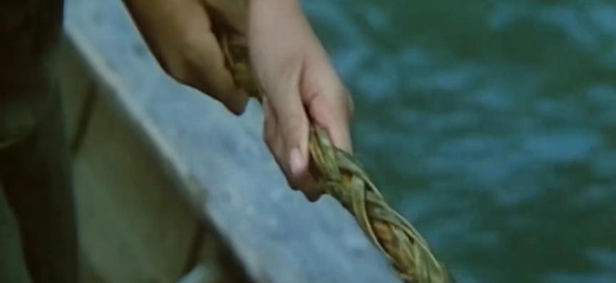 沈从文笔下的渡船,沈从文诞辰120周年纪念版图书