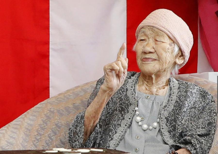 为什么研究裸鼹鼠可以长寿,裸化鼹鼠为什么不得癌