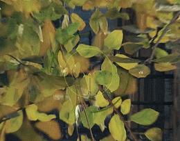 bz58-2技能,bz-58-2值得兑换吗