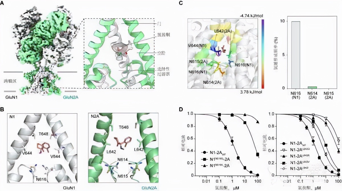 抑郁症攻克最新进展,抑郁症最新研究资讯