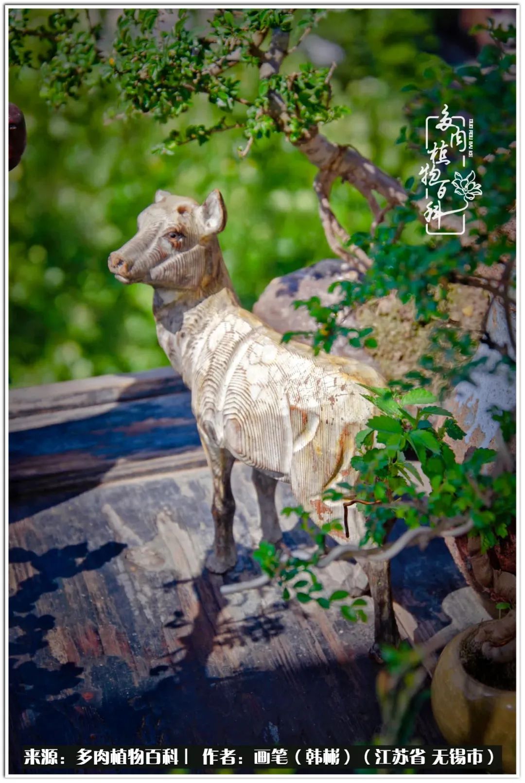 月满西楼别有一番滋味在心头,绿肥红瘦