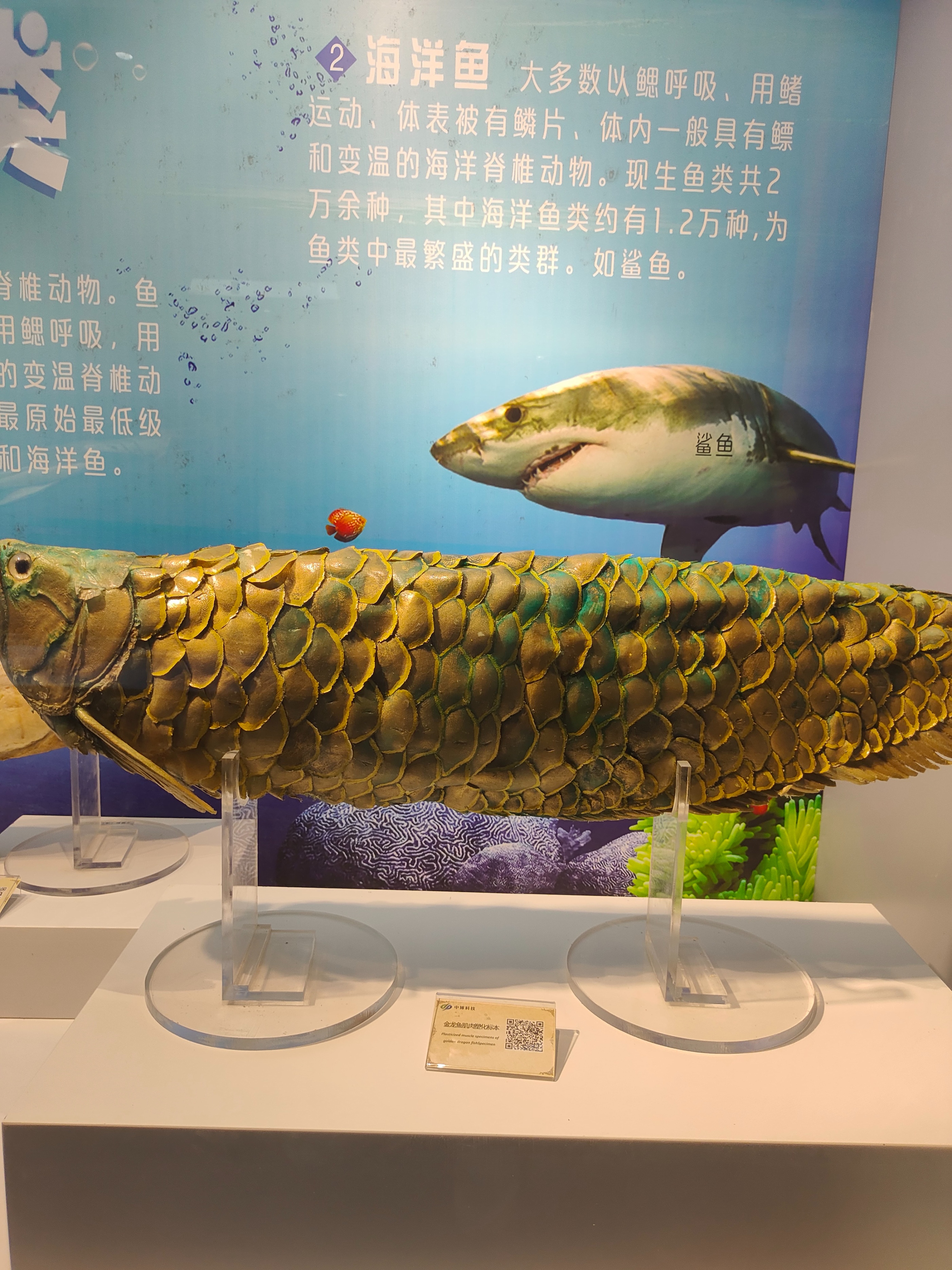 郑州生命自然科学馆,生命科学馆之旅