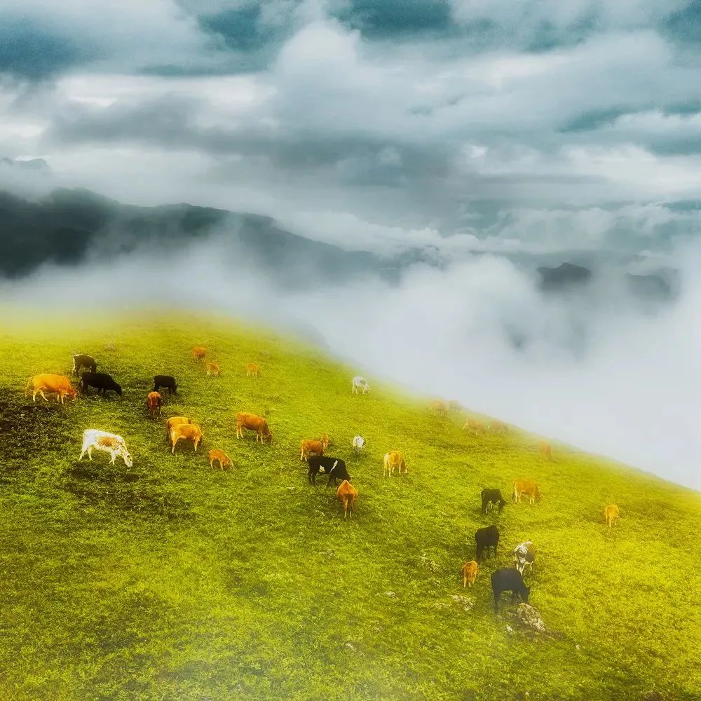 昭觉美姑,美姑路况