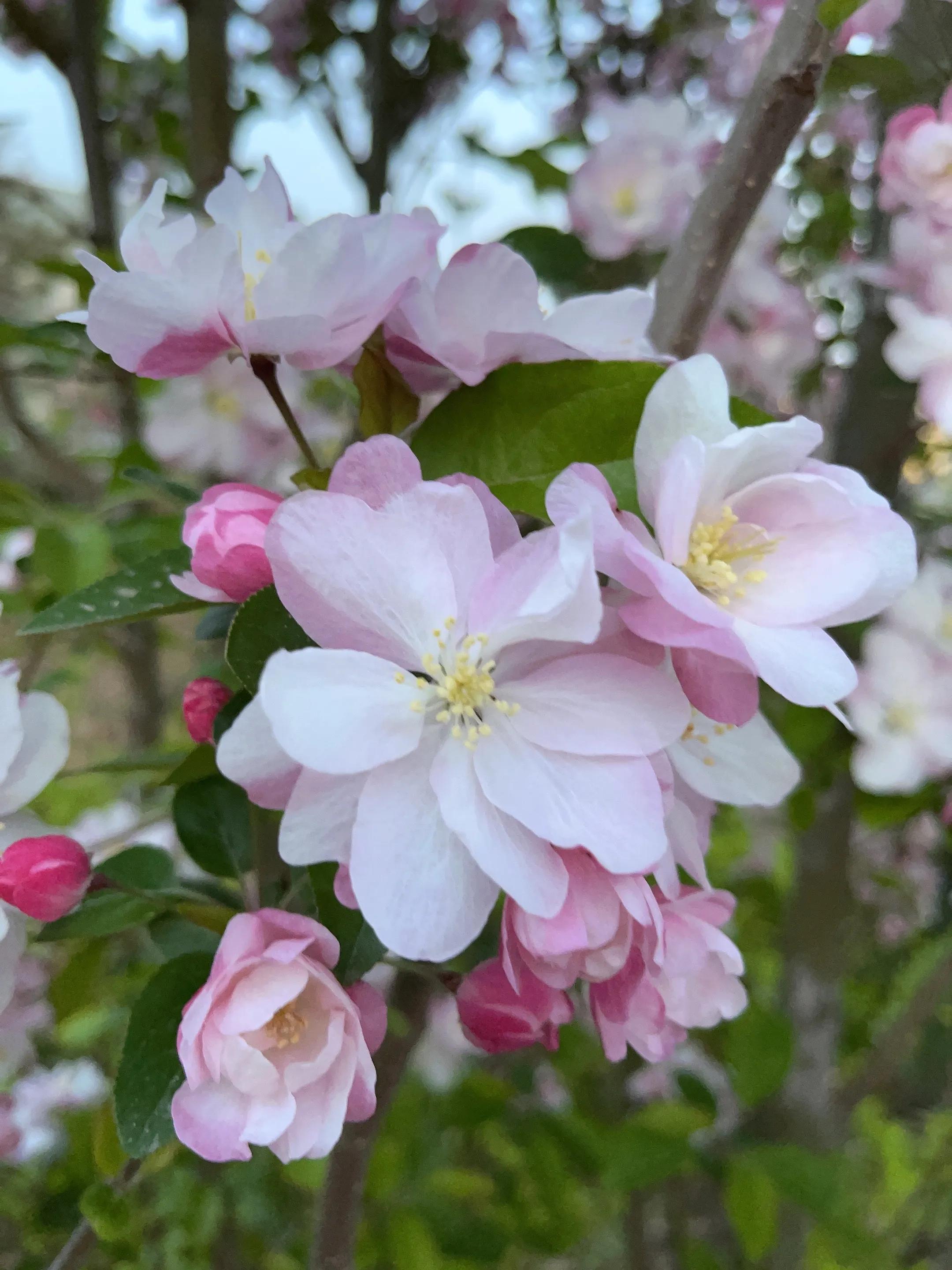 世界读书日快乐朗读,世界读书日快乐阅读幸福成长