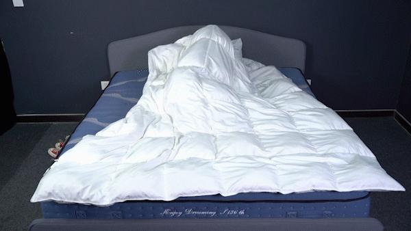 行业揭秘！舒达、西屋、金可儿、丝涟、慕思床垫拆解大横评