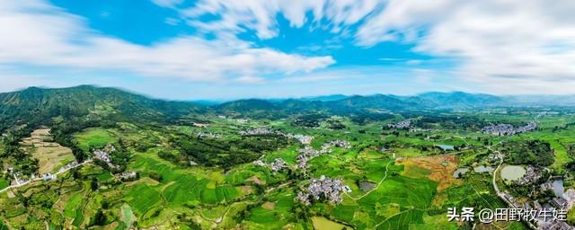 一个县委书记的临别感言,一个县委书记的日常生活