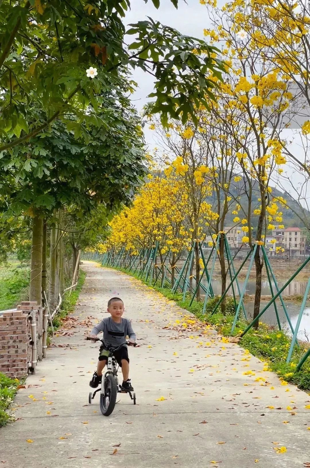 增城网红民宿别墅,增城最美花园亲子民宿