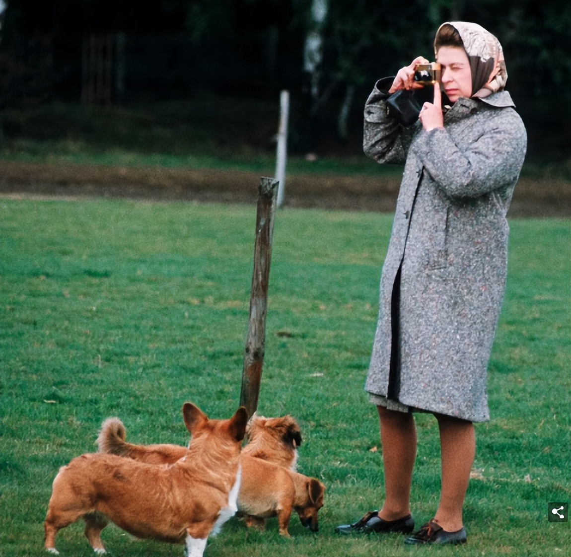 登基70周年！每年一张照片带你回顾女王的传奇人生
