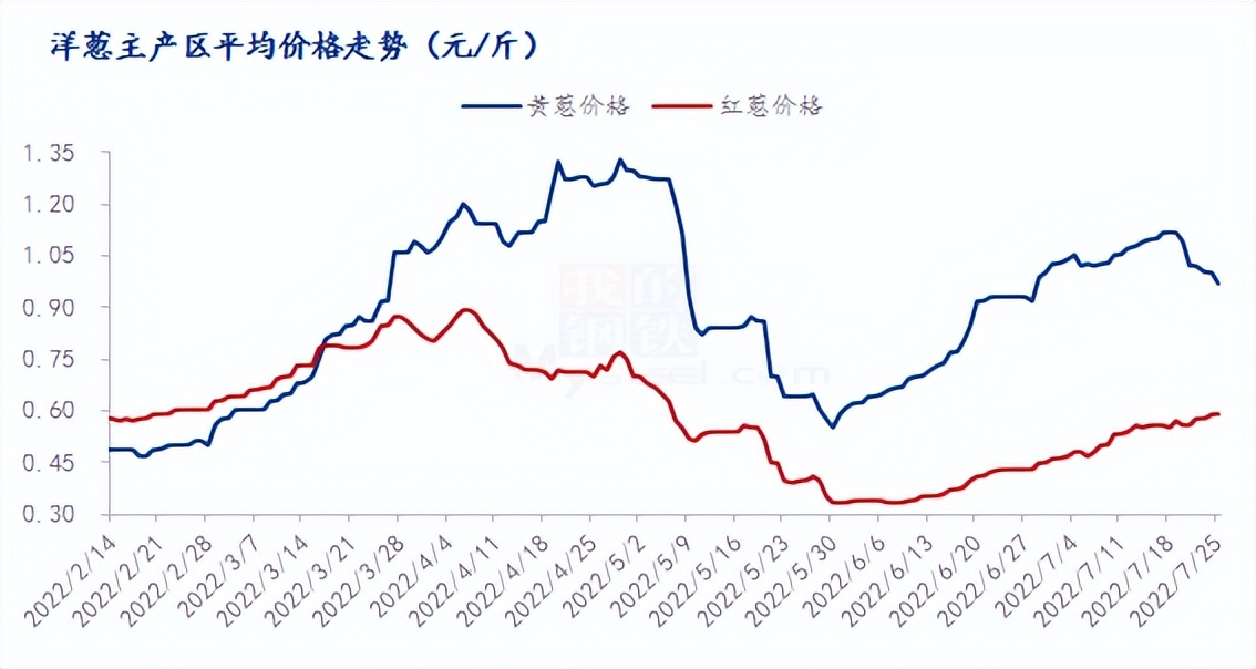 2024洋葱价格预测红葱,5月份洋葱行情