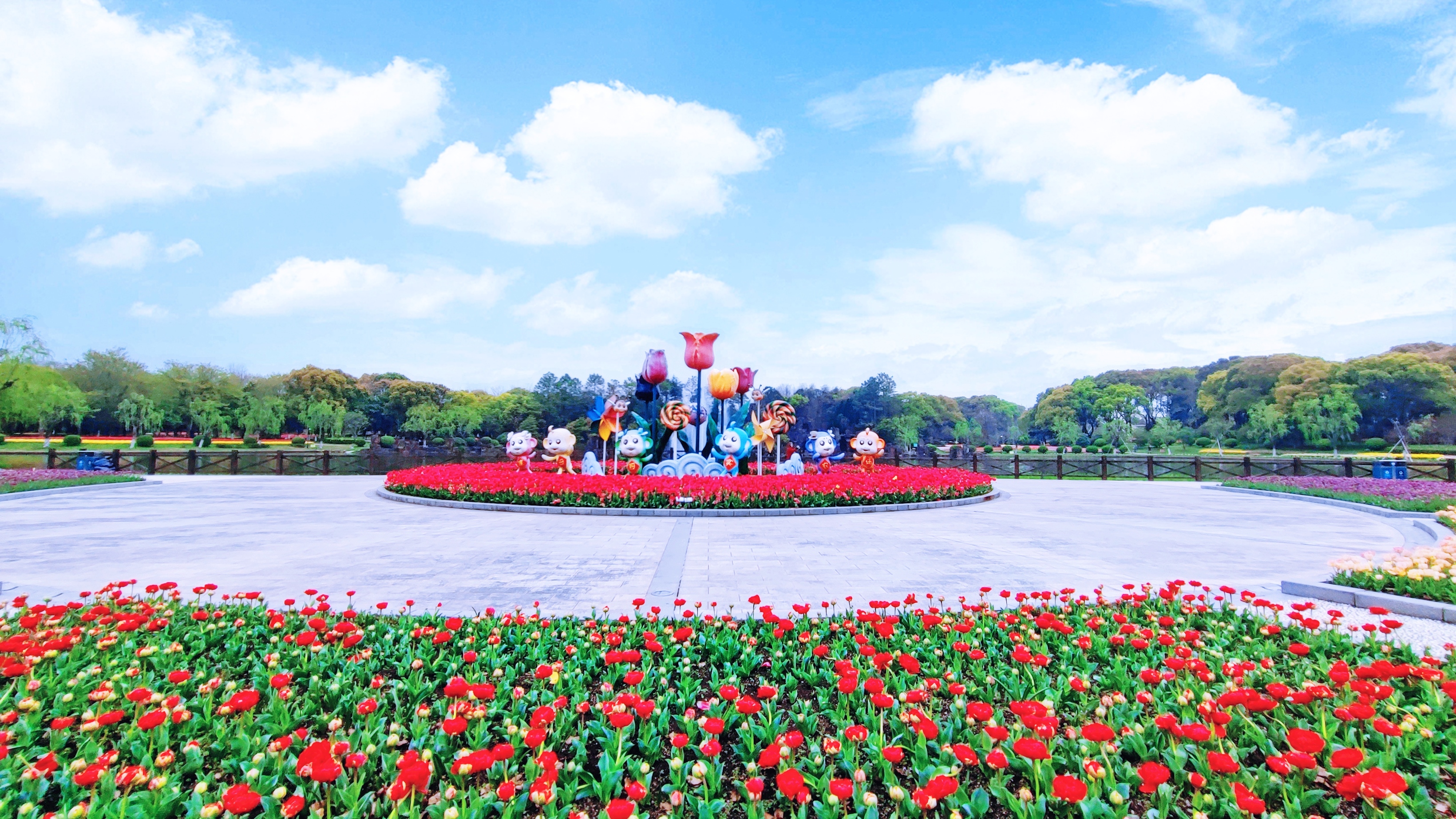 鲜花港郁金香花海,国际鲜花港花海