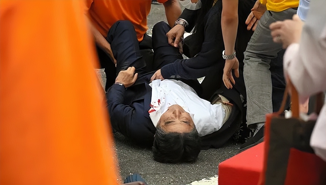 闊╁浗鎬荤粺鍘熻皡鏃ユ湰,闊╁浗鎬荤粺鍙嶆硶瑗挎柉