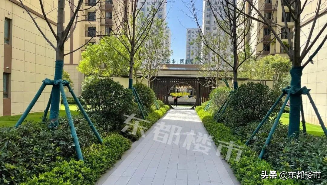 洛阳碧桂园幸福里一期交房时间,碧桂园幸福里房子质量如何