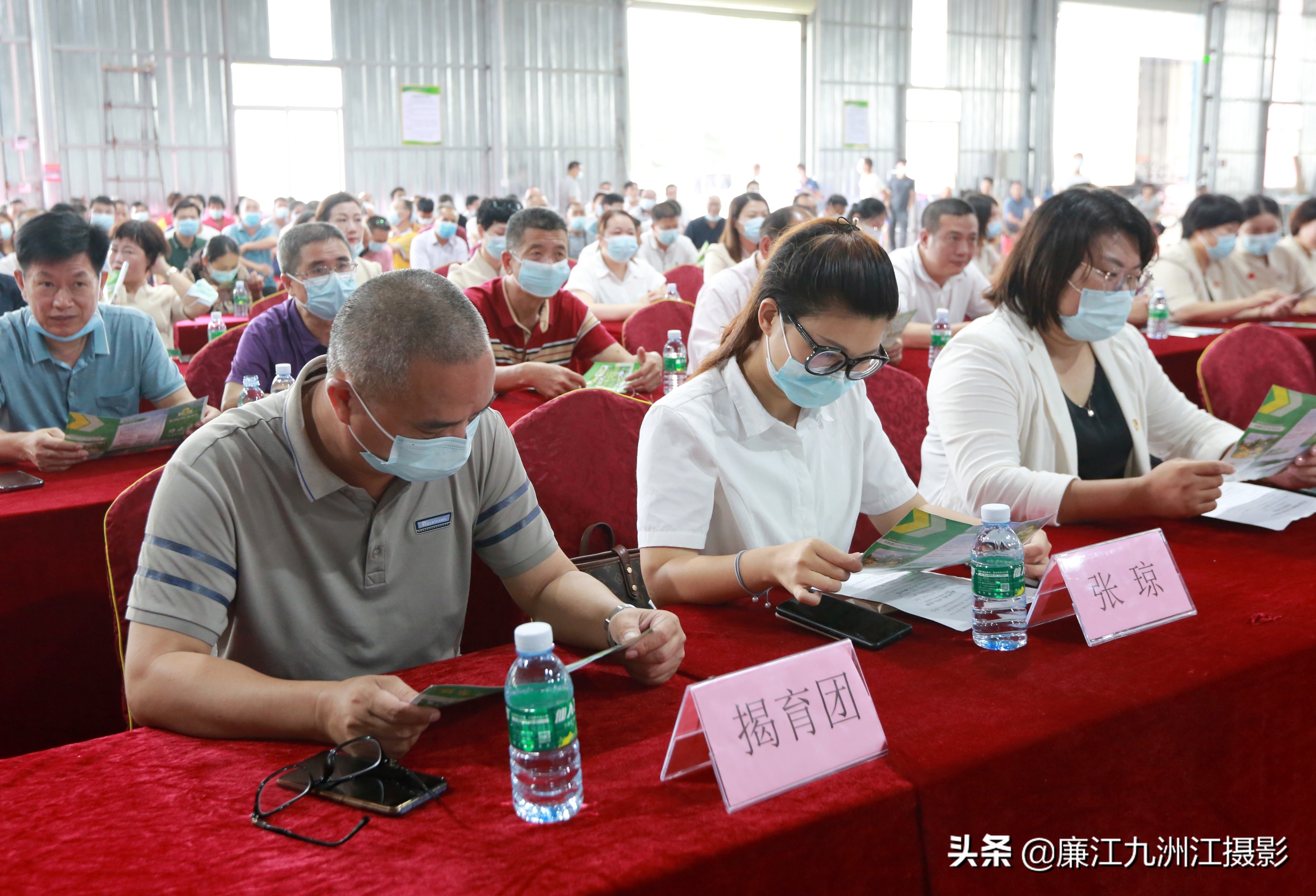 廉江吉水绿之源合作社,廉江市绿之渌分拣中心