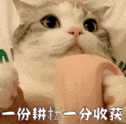 微信红包历史记录在哪里,关于微信红包的秘密