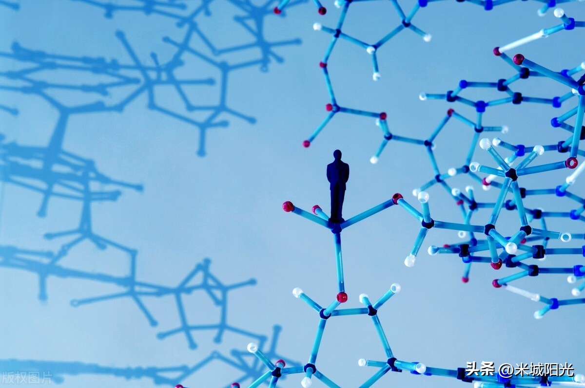 男女遗传基因决定生男孩还是女孩,生男生女到底是由什么原因决定的