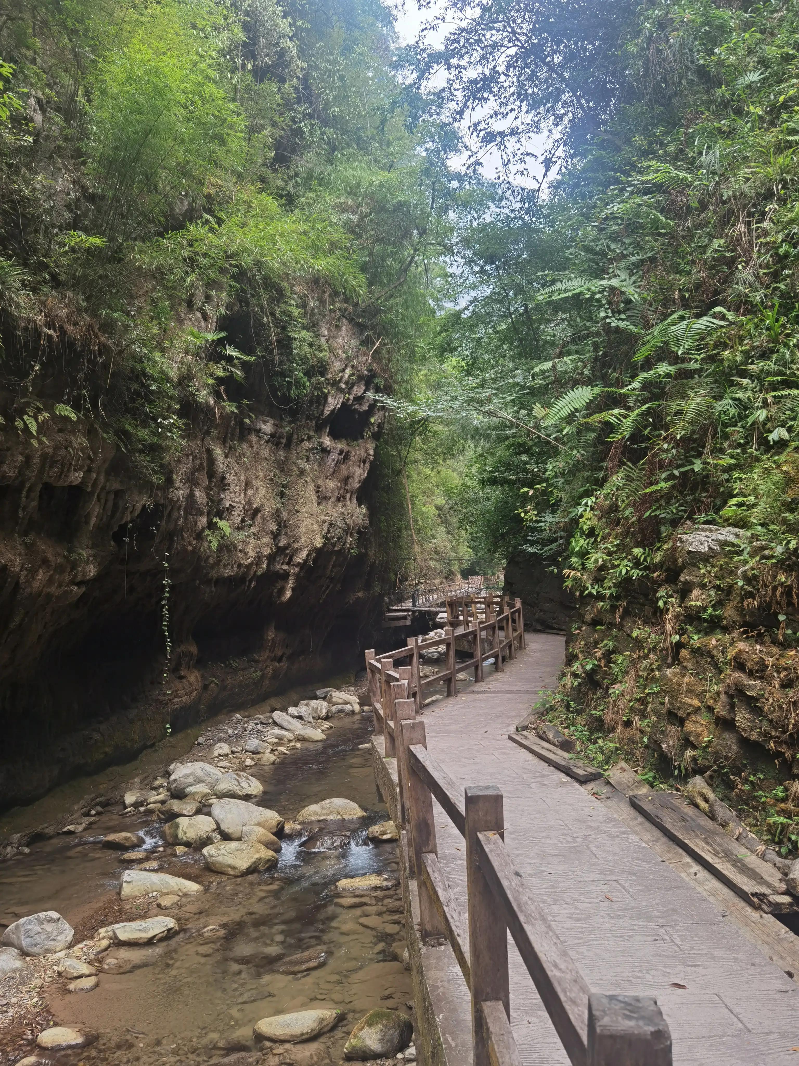 重庆到黑山谷的交通路线,重庆黑山谷旅游攻略美景图片