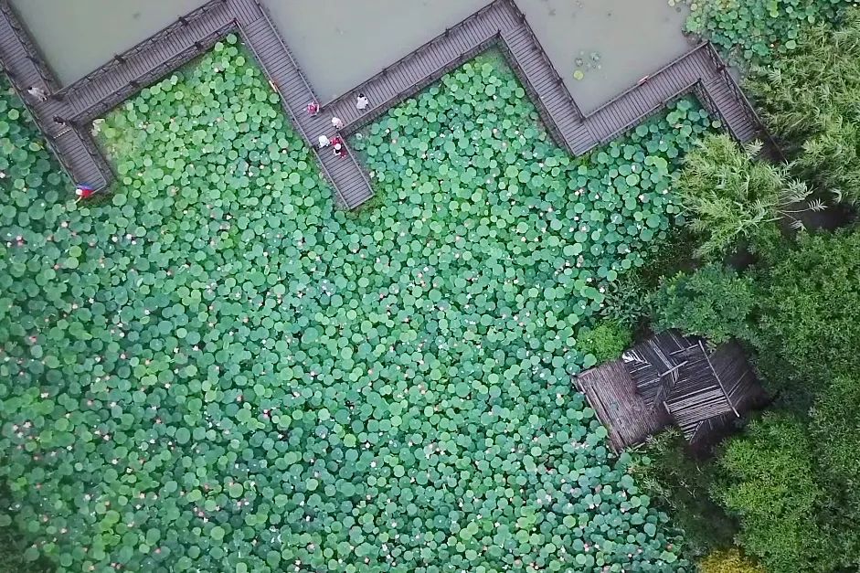 春来夏往，秋收冬藏，带你感受沙家浜的四季，别错过身边的美好