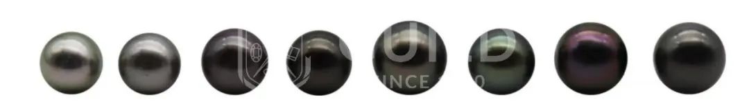 世界杯历史上最昂贵的比赛,最贫穷的世界杯