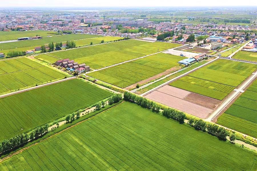 以振兴之笔擘画乡村发展画卷,以山水为笔绘好乡村振兴图