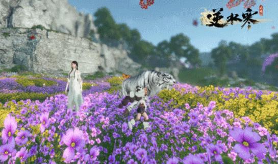 拿数据说话,逆水寒手游顶尖数据