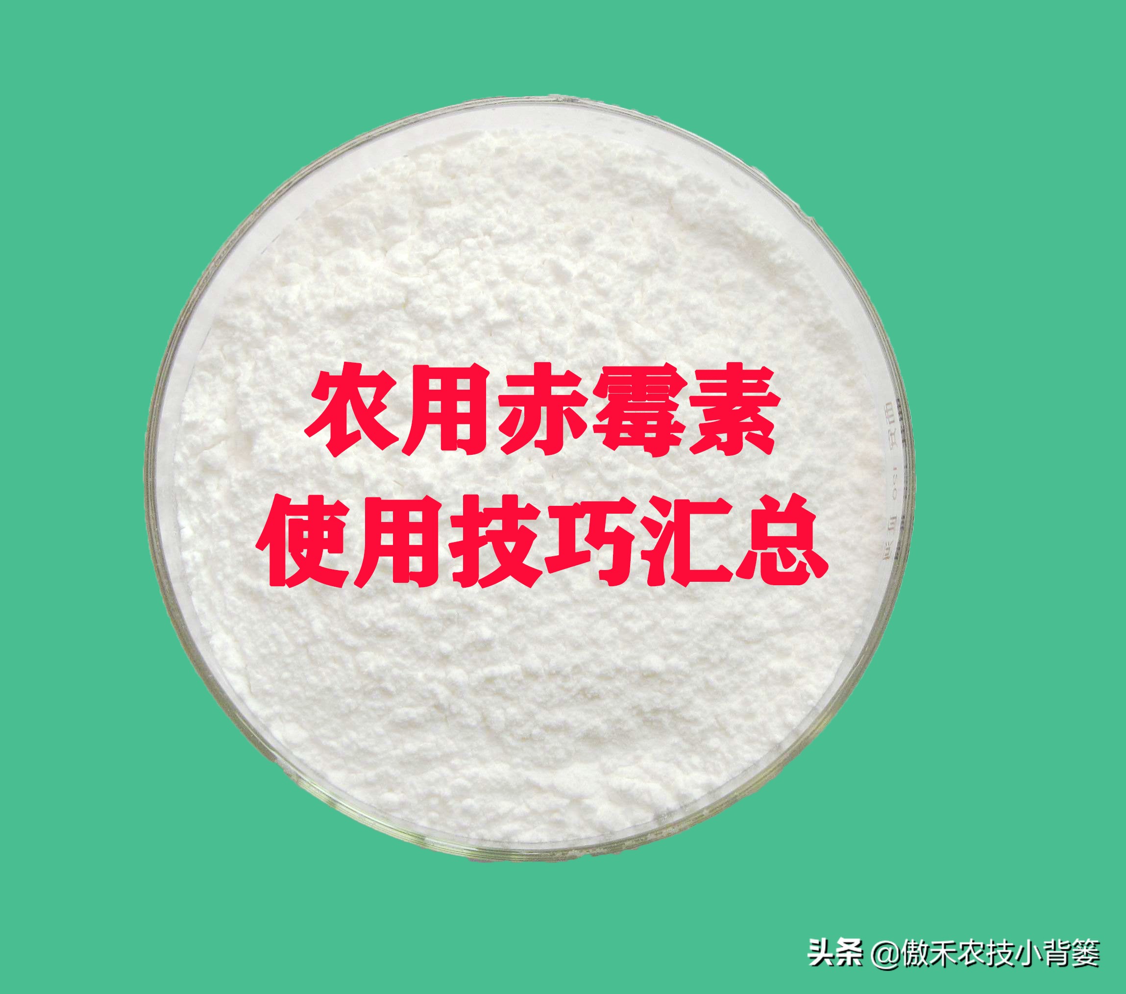 赤霉素适用于什么作物,赤霉素在不同作物上如何使用