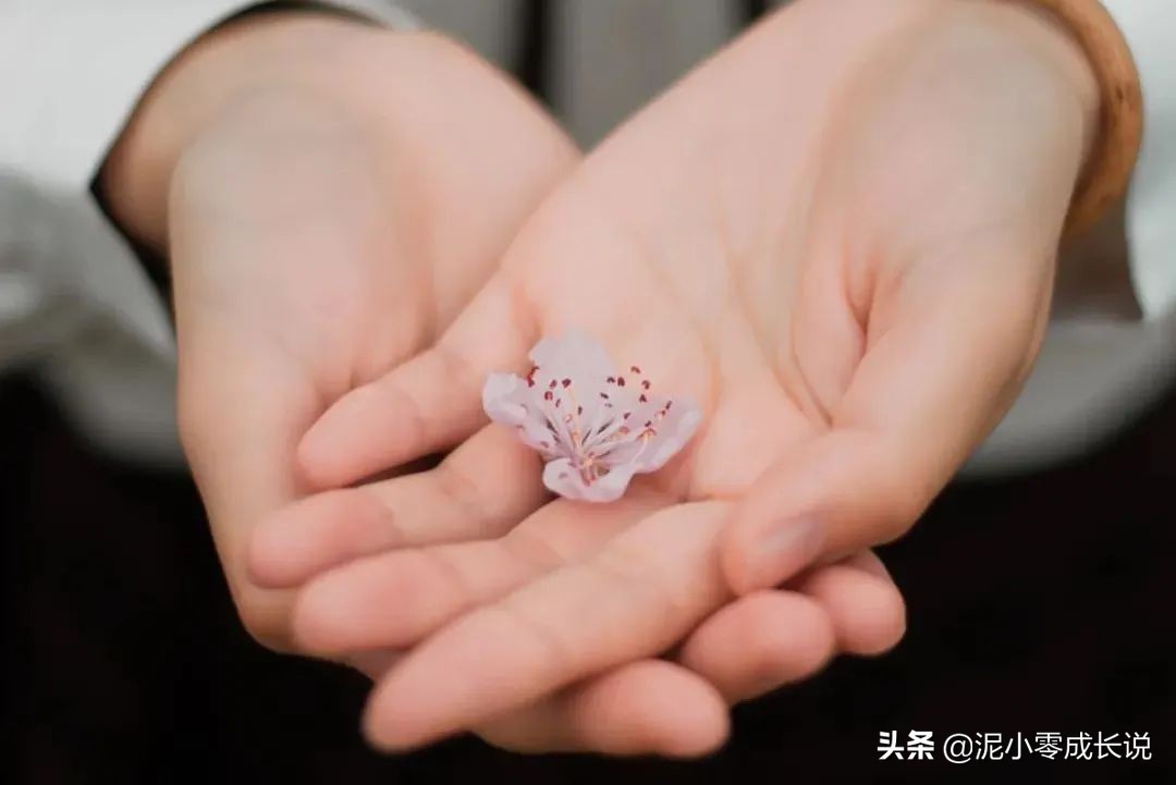 新手入门快速学习写作,新手入门级写作教程