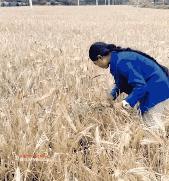 留守女孩收到录取通知书,藏族孩子收到入学通知书