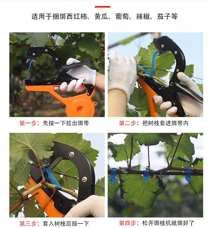 果树绑枝机,一个深受农户喜爱的网红绑枝器