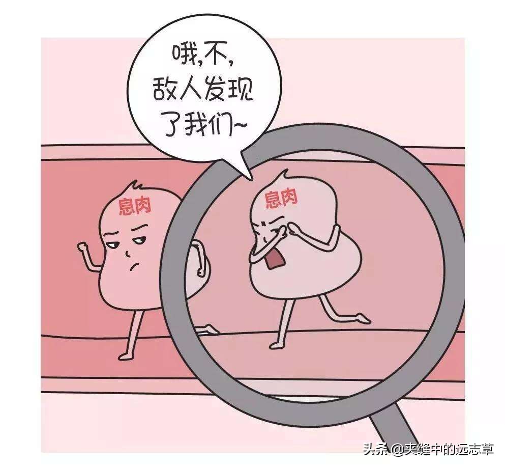 专治息肉的四味药组方,中医四味药消除大部分息肉