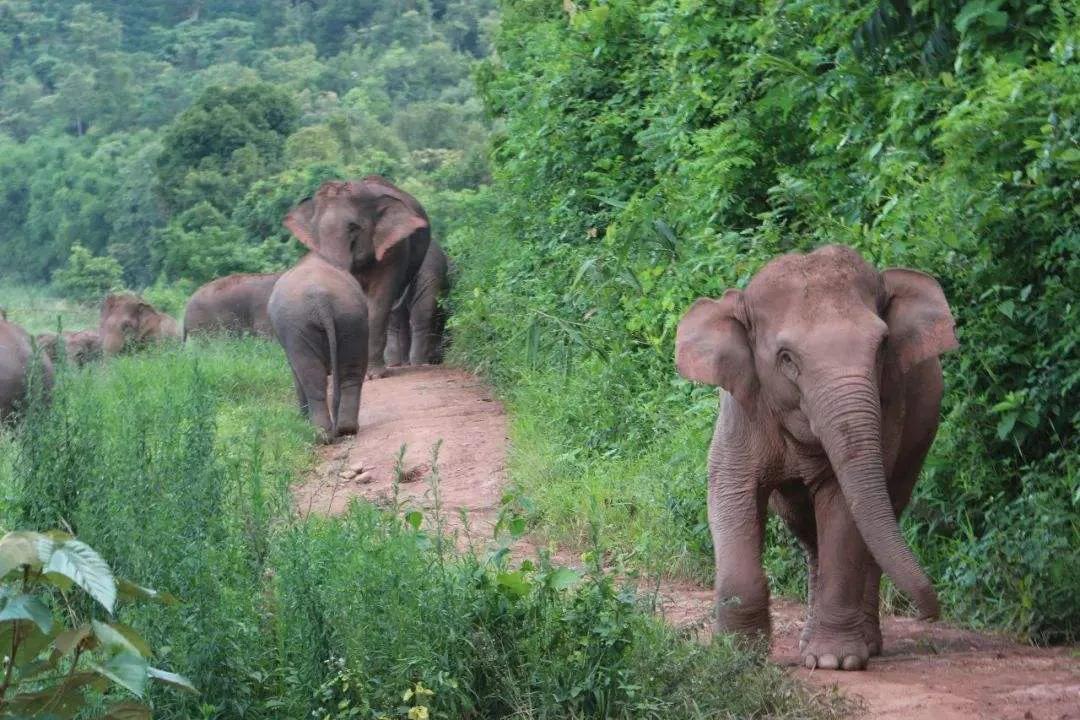 云南各地对男女的称呼,云南人怎么称呼外地人