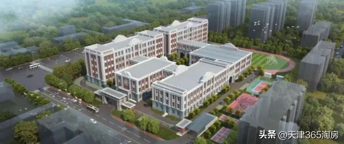 给钱给政策,南开突然站上C位!