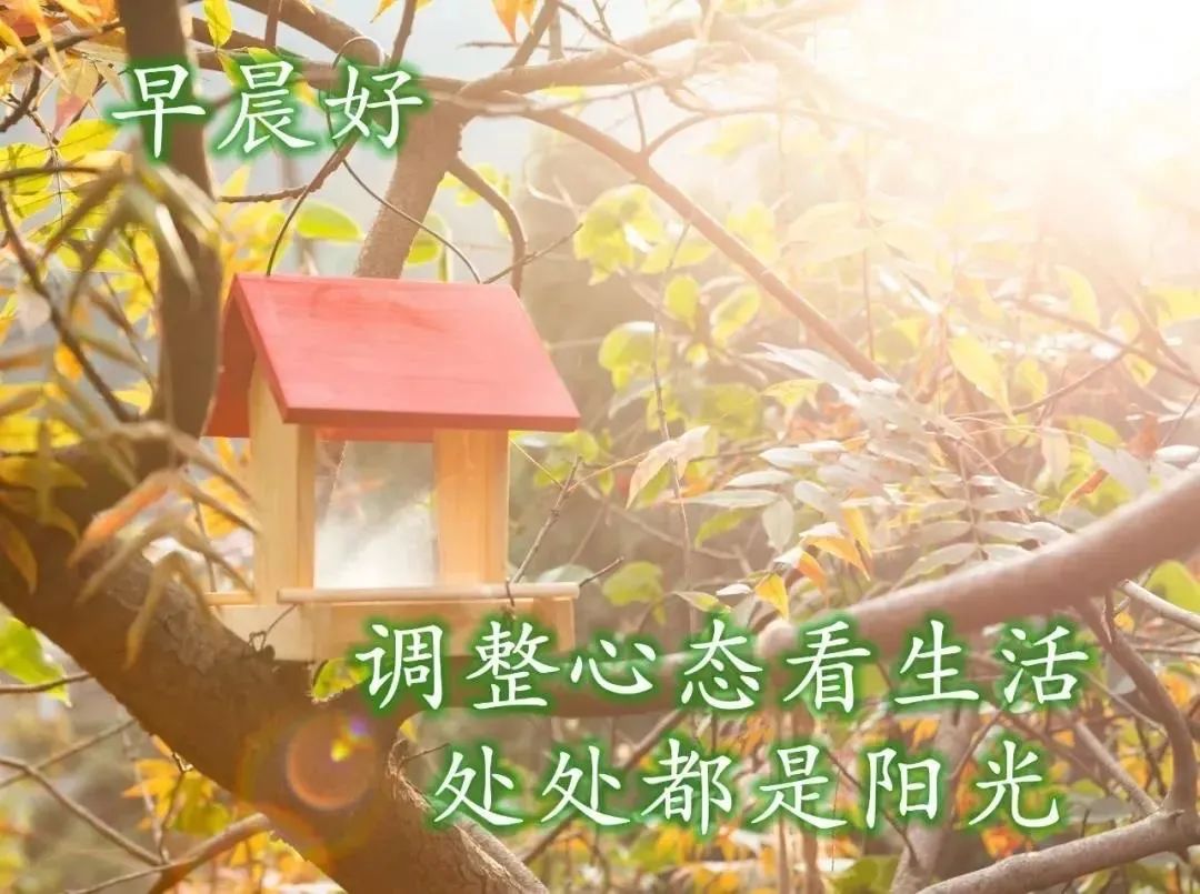 早安心语美句穿透人心几十句话,早安心语正能量图片语句一句话