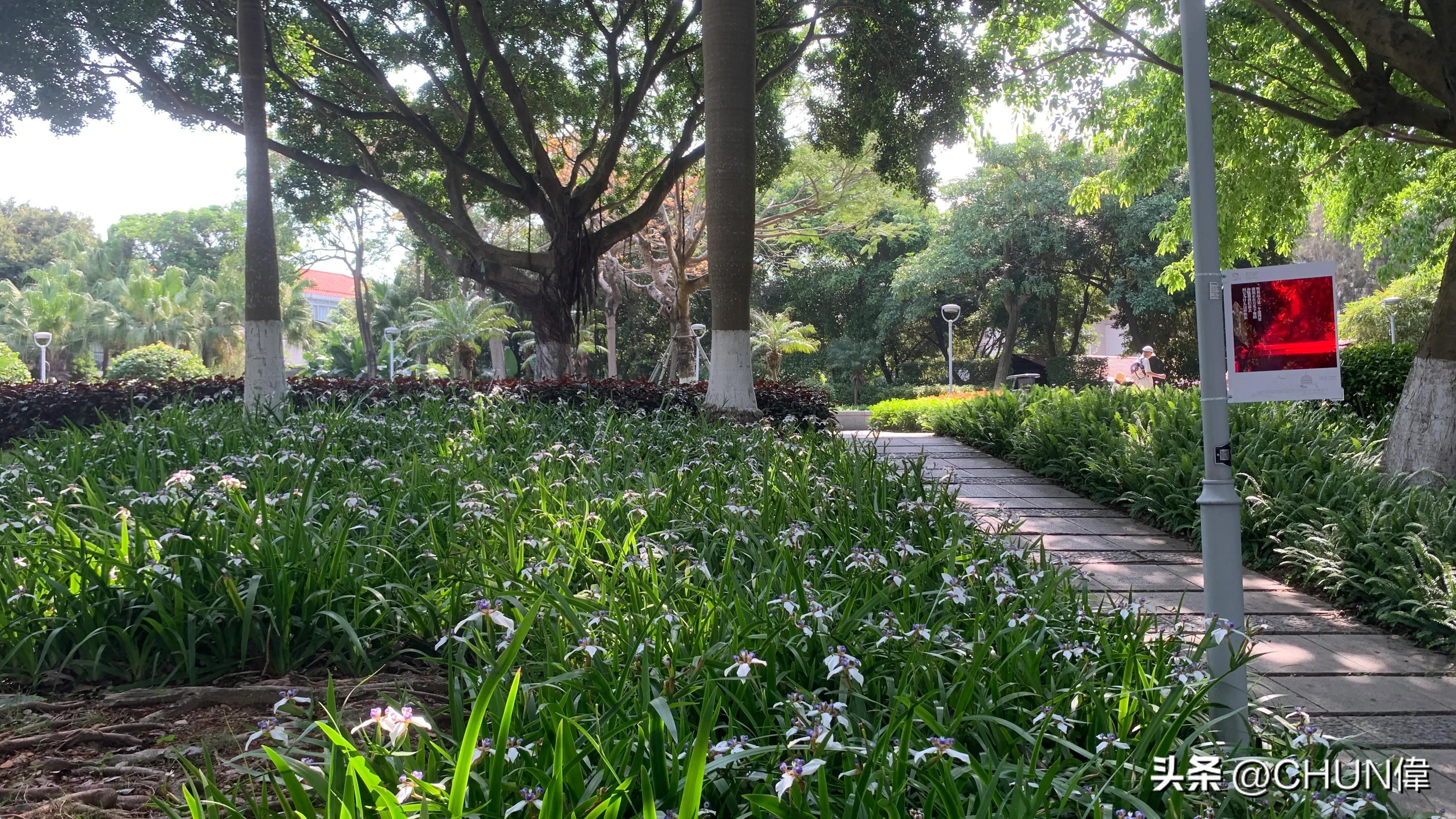 自由行厦门鼓浪屿四天怎么安排,鼓浪屿一日游五一
