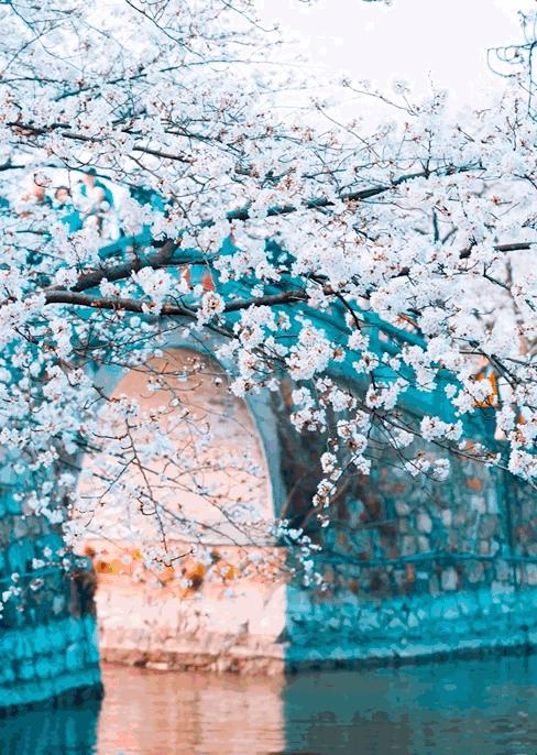 张雪峰评杭州师范大学排名,张雪峰师范院校推荐