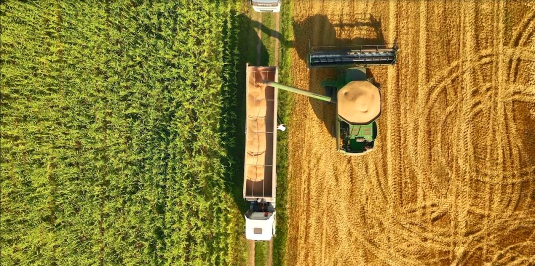 中粮国际海外有前途吗,中粮集团未来发展趋势