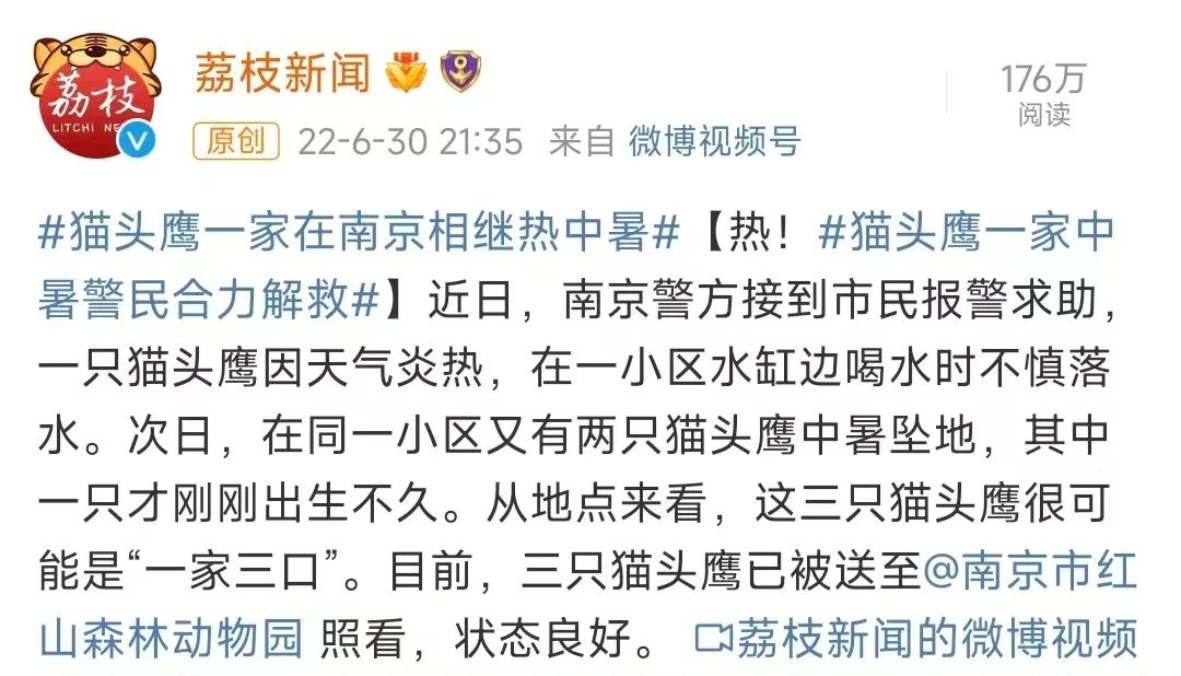 快来鼓楼这座书城寻找你心中“最伟大的作品”