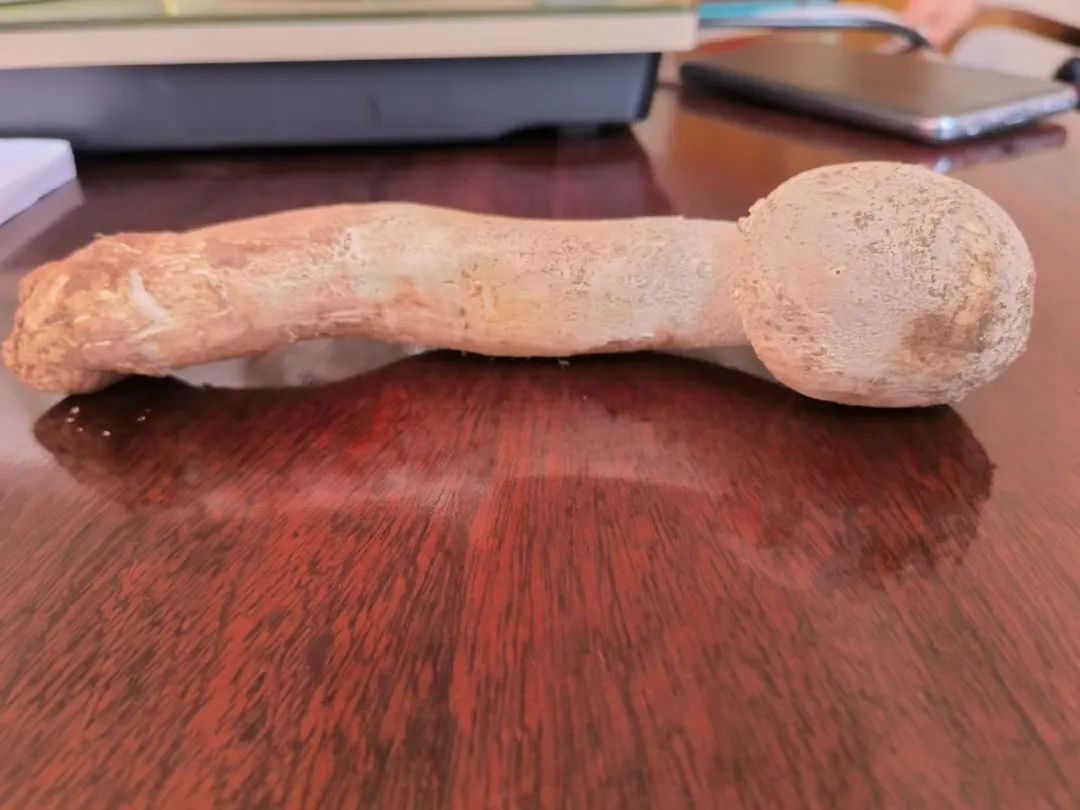 昆明市场信息大全,昆明市场资料