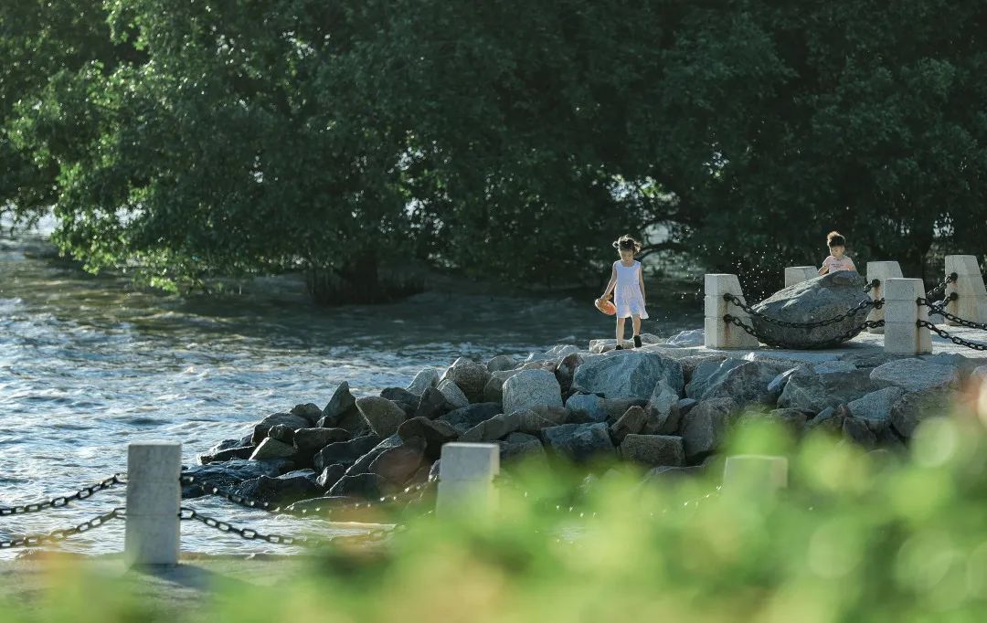 我为什么建议你来北上广深奋斗,我为什么建议你留在一线城市
