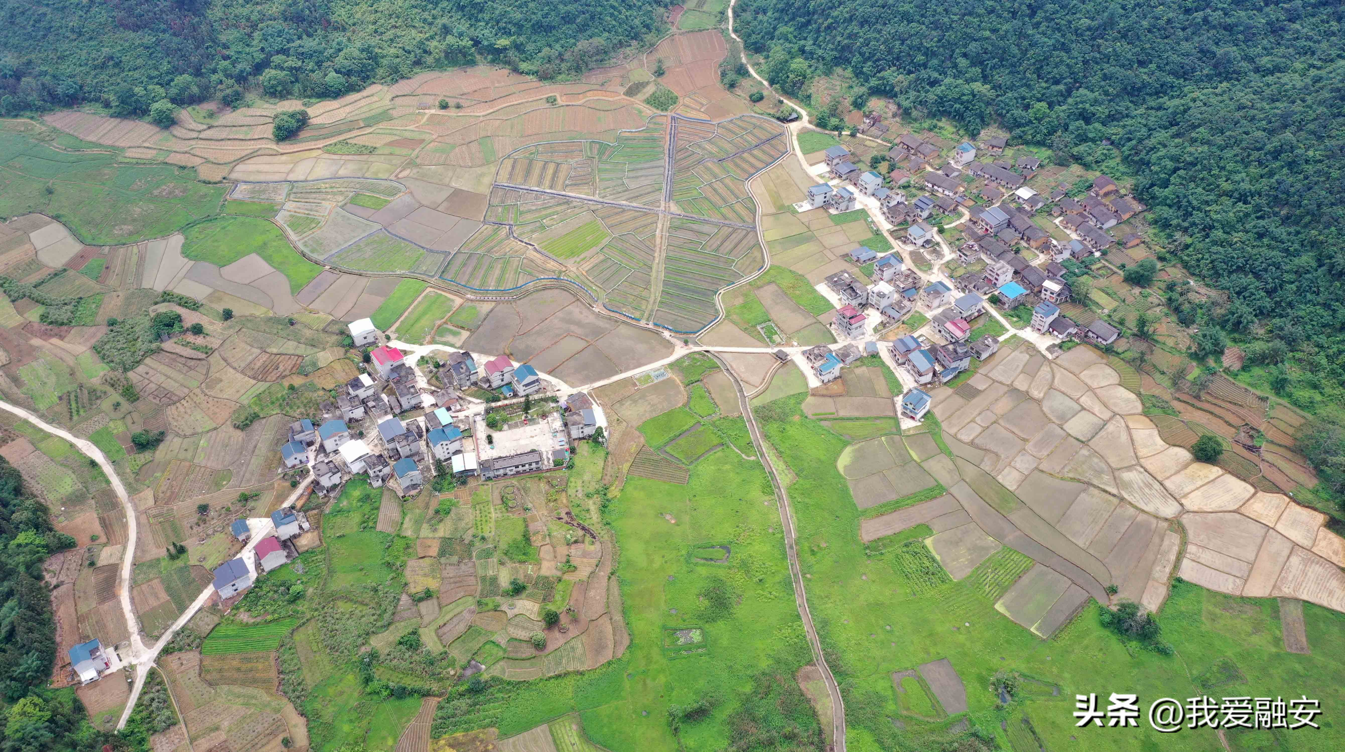夏日田园美容,绘画夏日田园