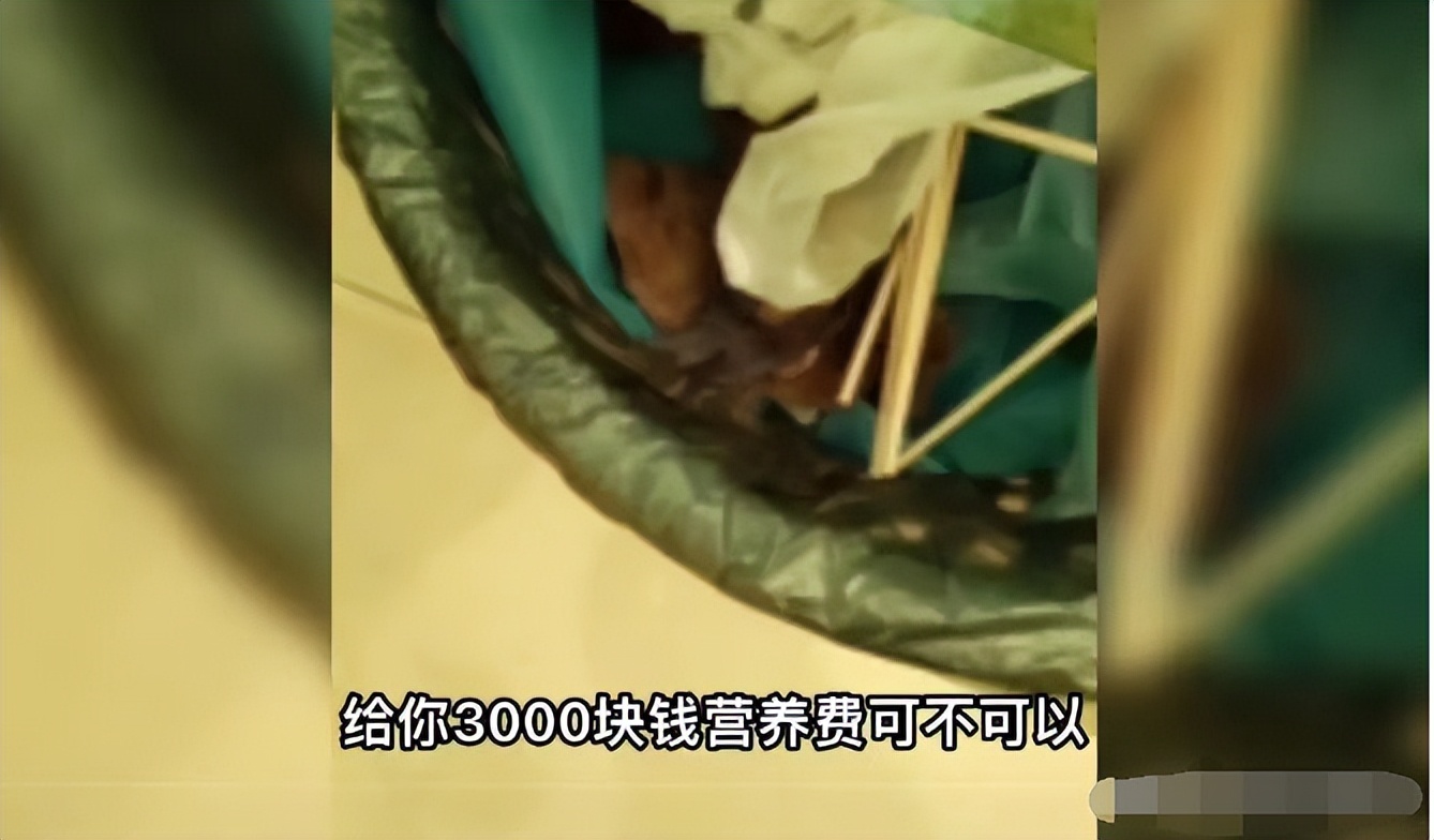 产妇体内遗留纱布,院方谈产妇体内留纱布