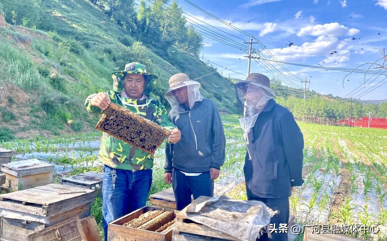 80后养蜂夫妻的日常生活,80后养蜂人的视频