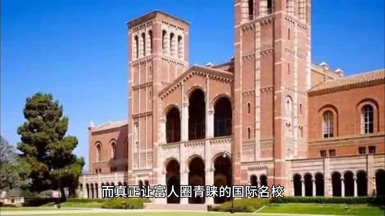 浅谈我眼中的企业文化,财商教育的现状及存在问题