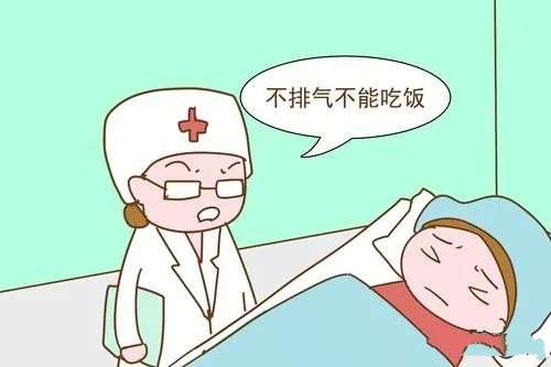 剖腹产助排气的食物,剖腹产术前吃什么有利于术后排气